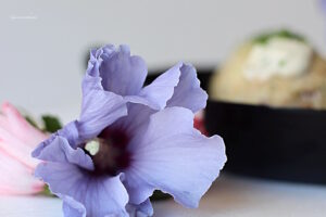IMG_7236_Fotorfb