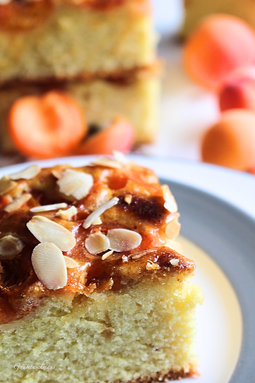 Saftiger Dinkel-Marillenkuchen – Gaumenschmaus