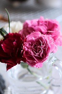 IMG_8522_Fotorfb