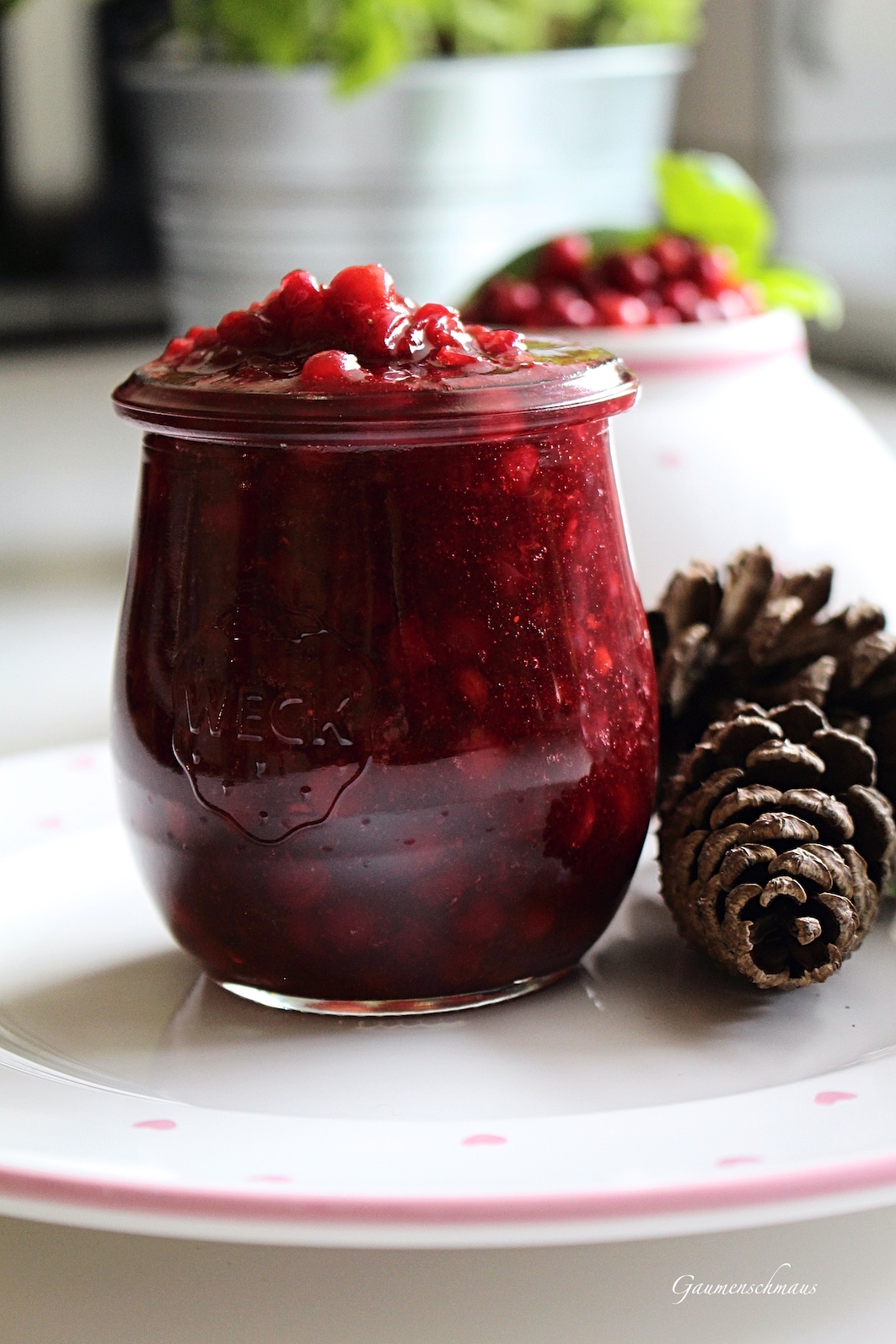 Preiselbeerkompott – Gaumenschmaus